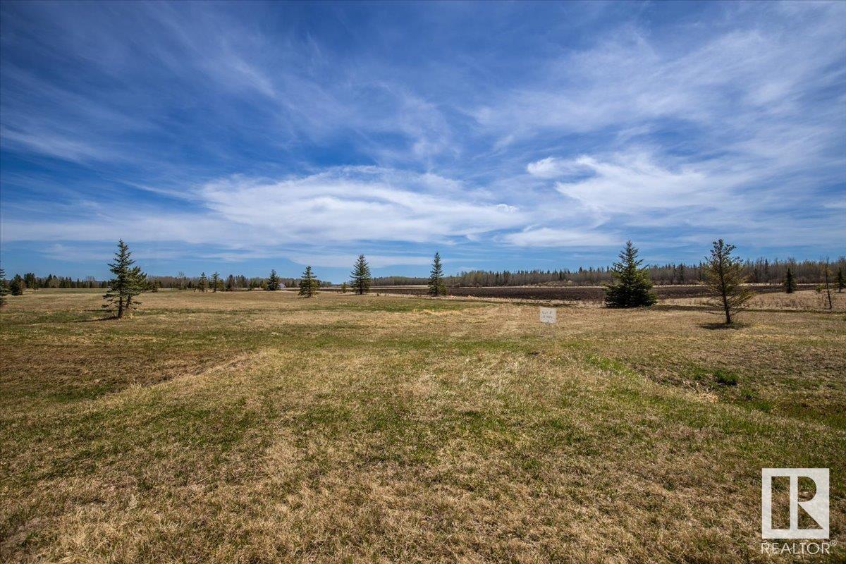 Lot# 8 456011 Rge Rd 64, Rural Wetaskiwin County, Alberta, T0C 0T0